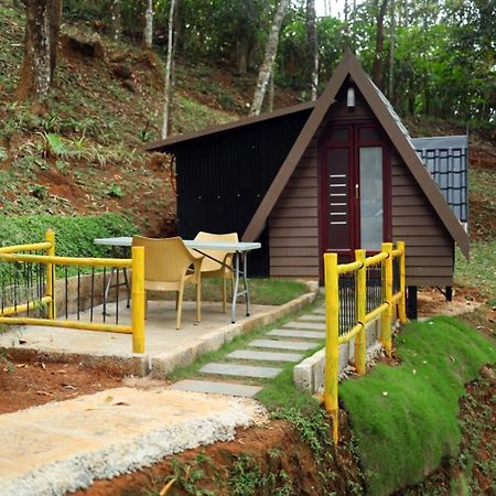 Garden Of Eden-Thottam Munnar-Hiking And Camping Anachal Екстериор снимка