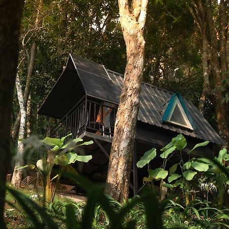 Garden Of Eden-Thottam Munnar-Hiking And Camping Anachal Екстериор снимка