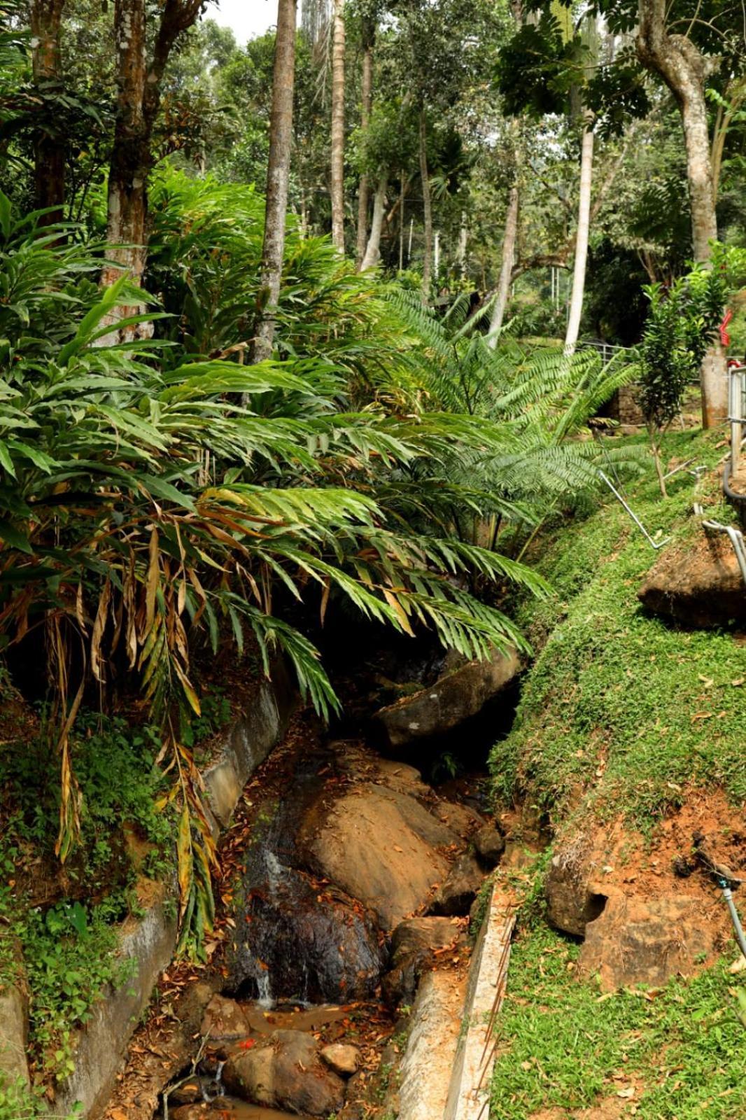 Garden Of Eden-Thottam Munnar-Hiking And Camping Anachal Екстериор снимка