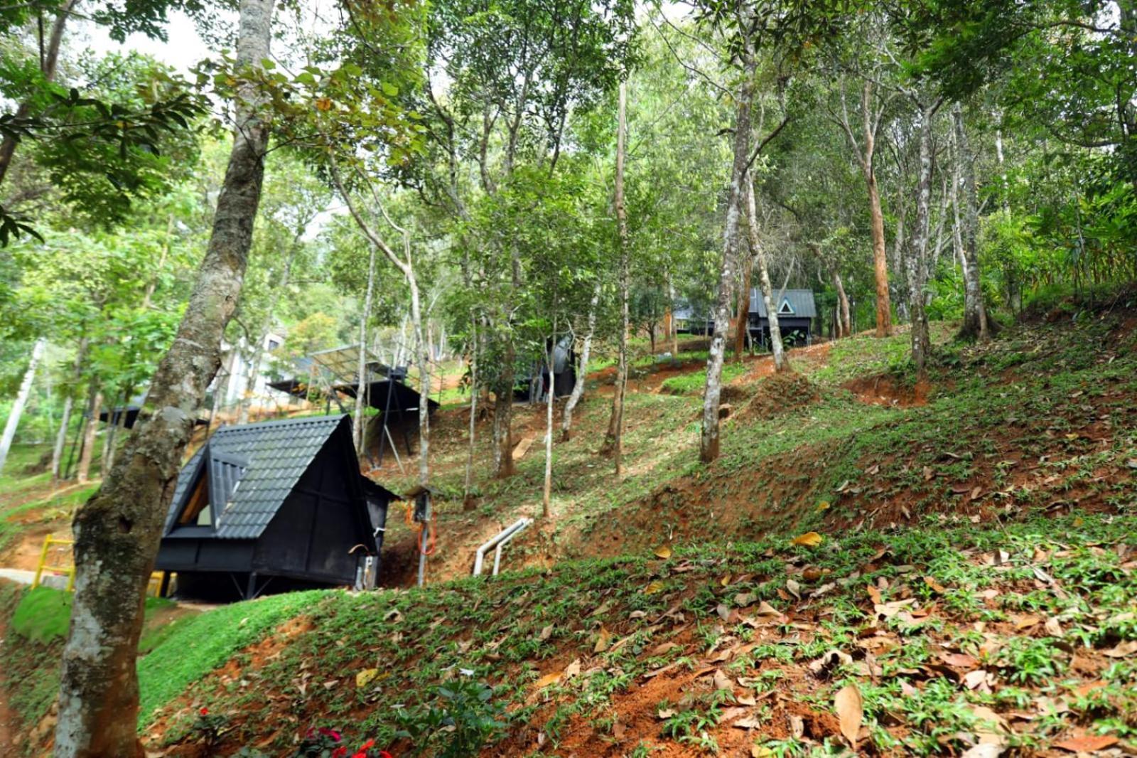 Garden Of Eden-Thottam Munnar-Hiking And Camping Anachal Екстериор снимка