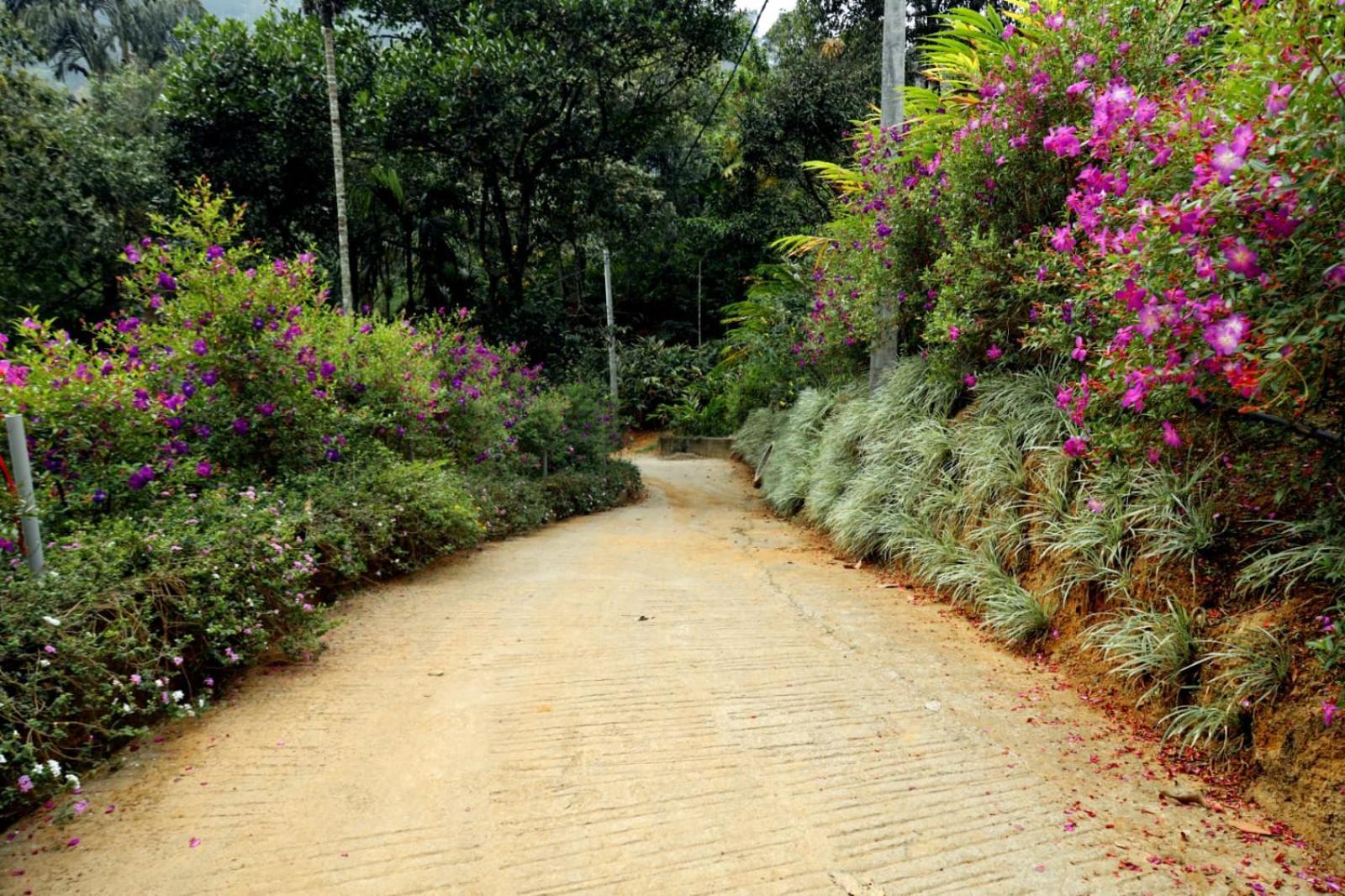 Garden Of Eden-Thottam Munnar-Hiking And Camping Anachal Екстериор снимка
