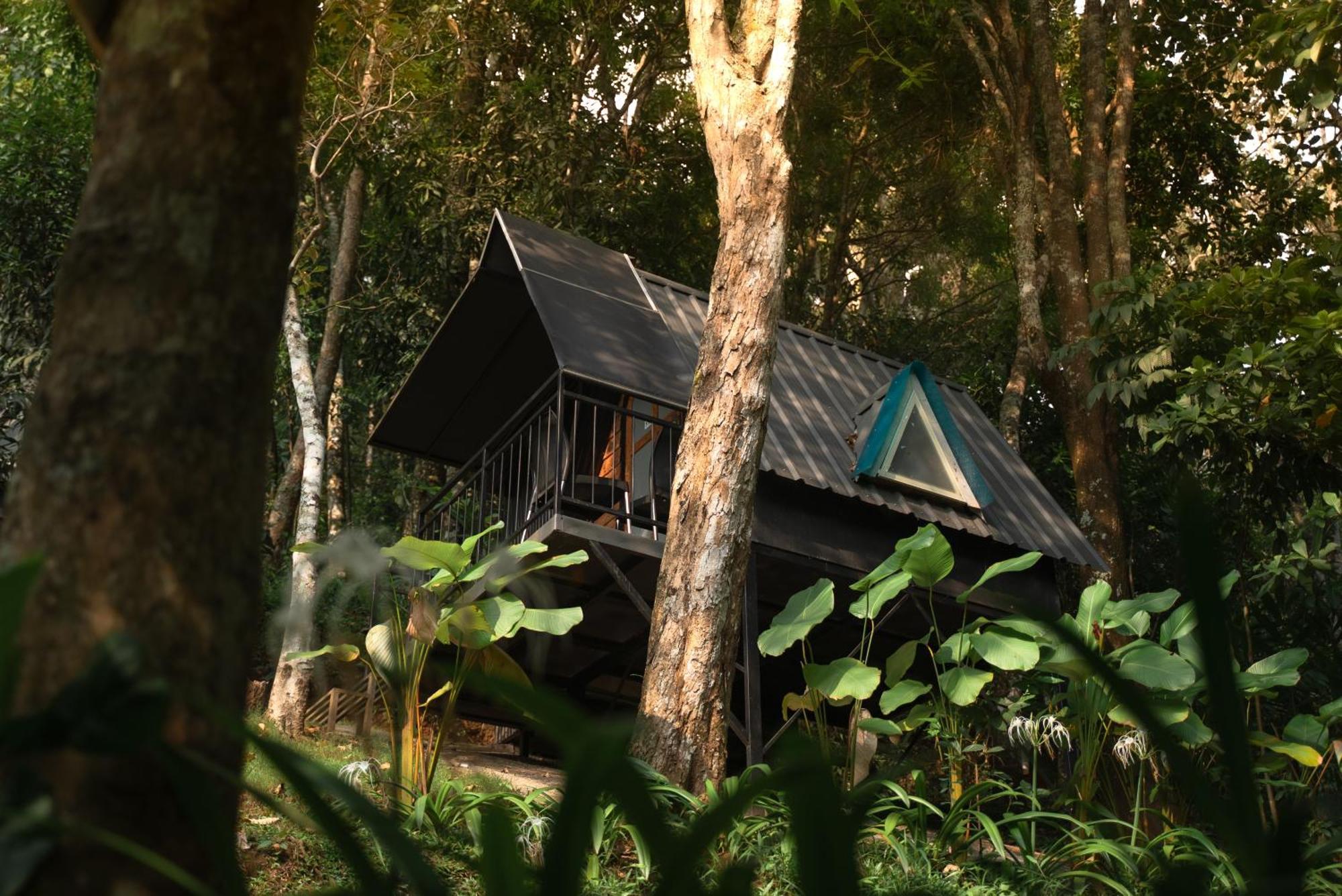 Garden Of Eden-Thottam Munnar-Hiking And Camping Anachal Екстериор снимка