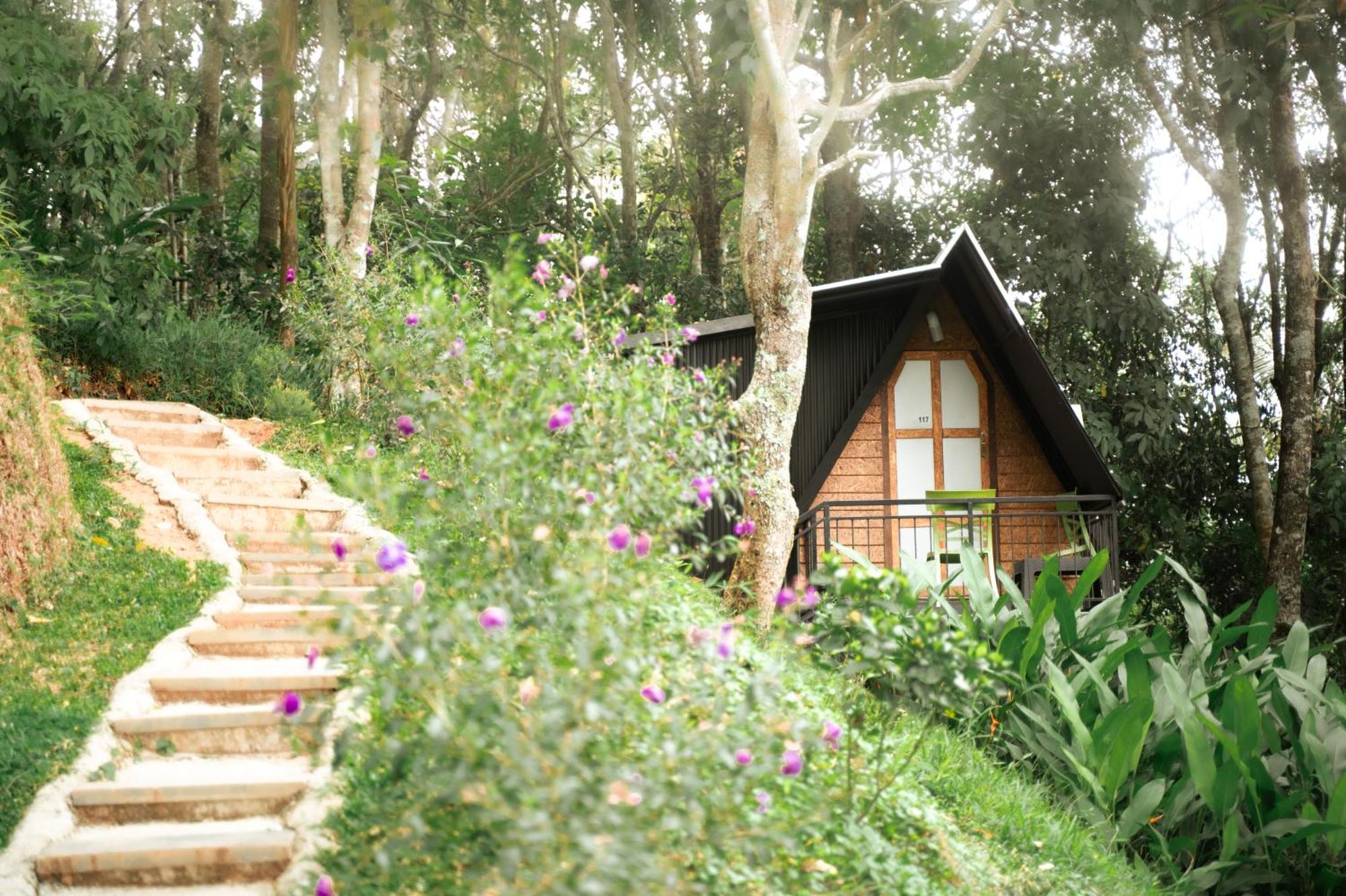 Garden Of Eden-Thottam Munnar-Hiking And Camping Anachal Екстериор снимка