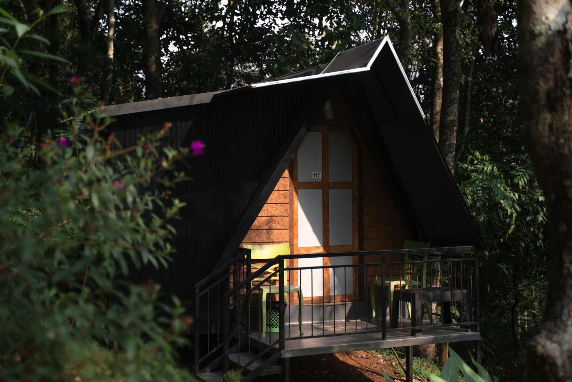 Garden Of Eden-Thottam Munnar-Hiking And Camping Anachal Екстериор снимка