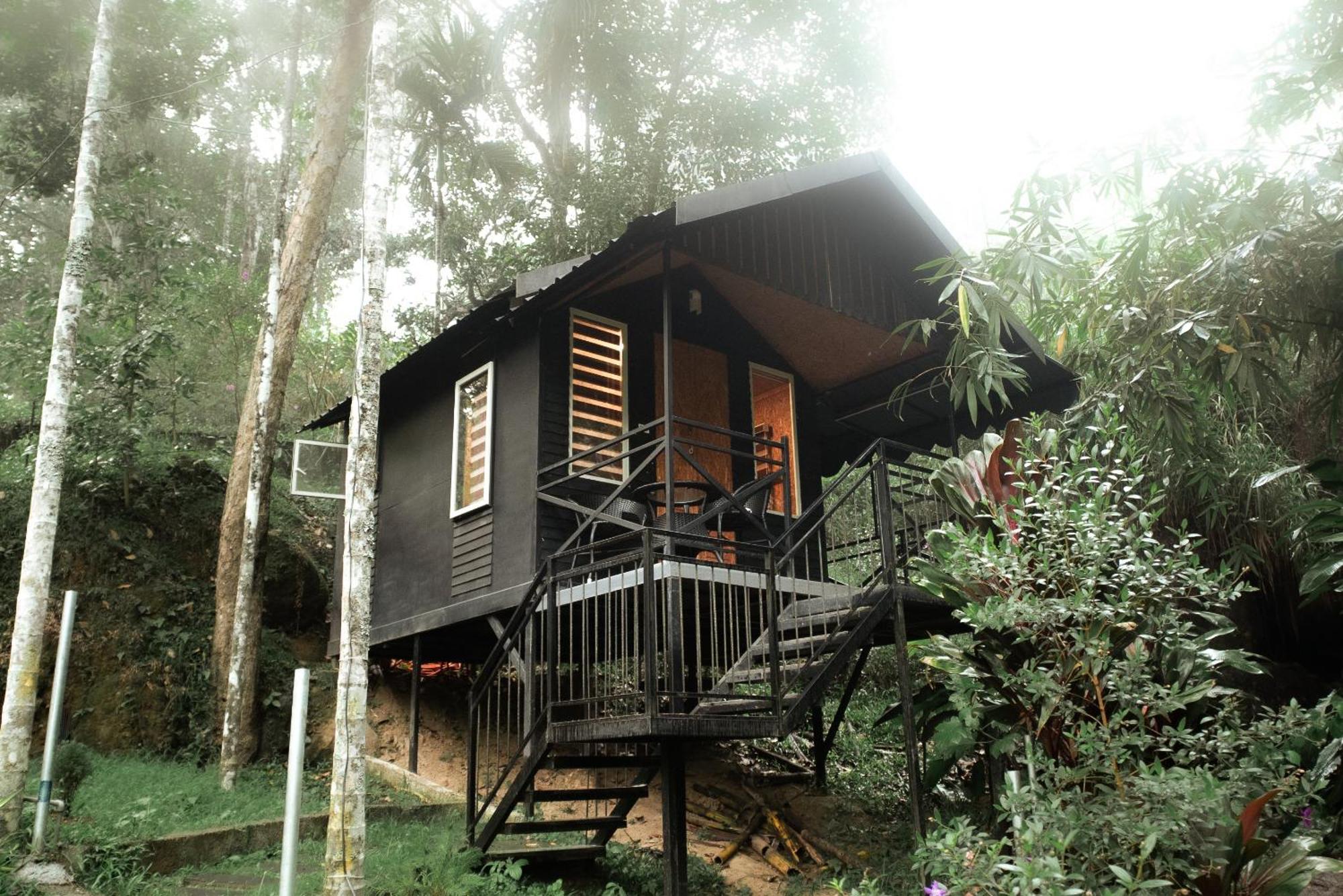 Garden Of Eden-Thottam Munnar-Hiking And Camping Anachal Екстериор снимка