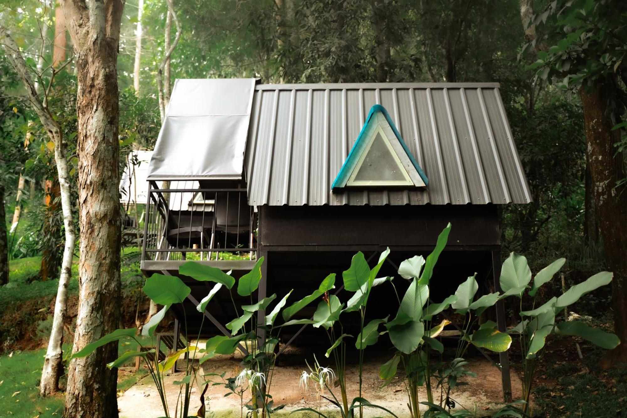 Garden Of Eden-Thottam Munnar-Hiking And Camping Anachal Екстериор снимка